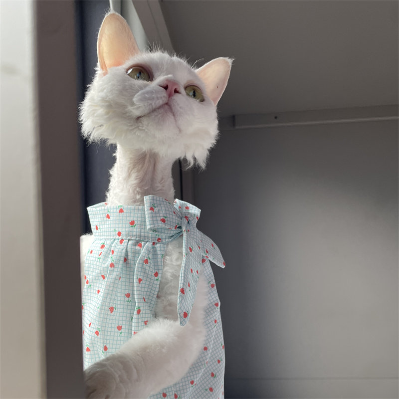 Yazlık Tatlı Açık Mavi Çift Ka - Summer Light Clothing incelemesi ve fiyatı